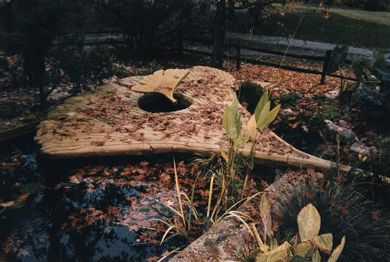 Ginkgo Leaf Pool in Fall.